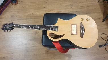 Peavey Travel Elettrificata