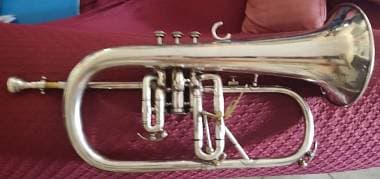 Flicorno soprano Willson