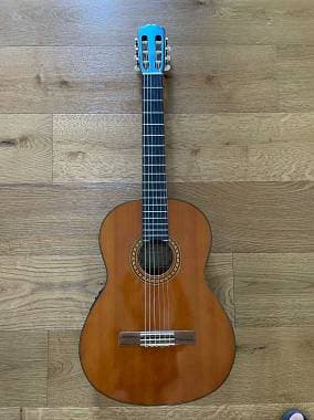 Takamine EG-116