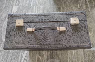 Vendo fisarmonica Excelsior 96 Bassi
