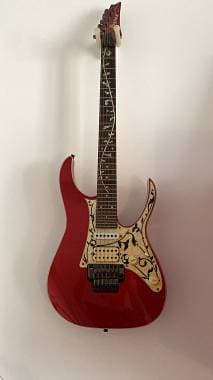 Ibanez RG550XH tema floreale