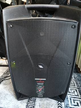 Vendo coppia Proel V12 Plus