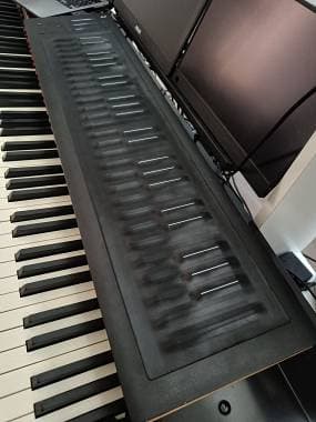 Roli seaboard 49