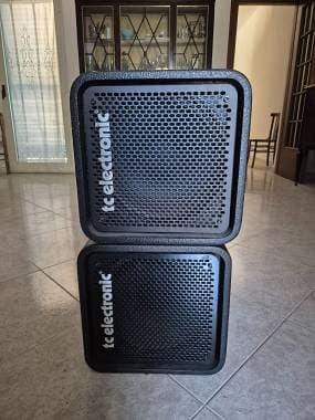 Cassa per basso TC Electronic Rs 112