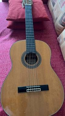Washburn C50S