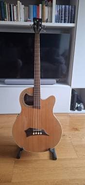 Basso Acustico Elettrificato Warwick RockBass Alien Deluxe 4 Corde