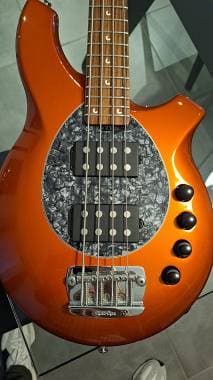 Music Man Bongo 4 HH