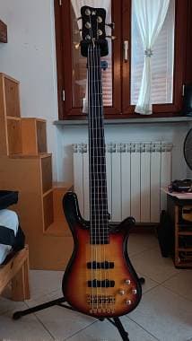 Warwick Streamer LX5