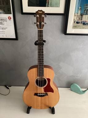 Taylor GS MINI E-BASS