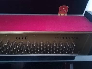 Yamaha b1PE