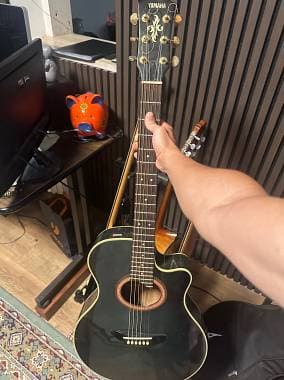 Yamaha Apx 6a