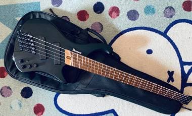 Ibanez EHB 1005