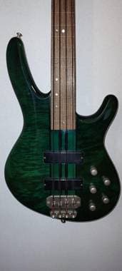 Cort Artisan A4 fretless