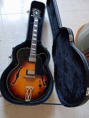 Ibanez Af75 SB