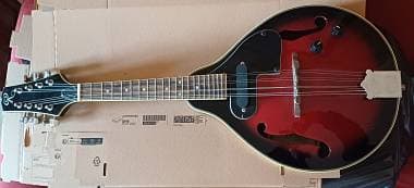 Roling's MA-005