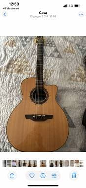 Takamine Ltd 2006