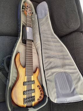 Wyn Custom made USA six strings