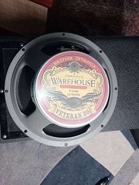 WGS Veteran 30 8 ohm anche coppia spedizione compresa)