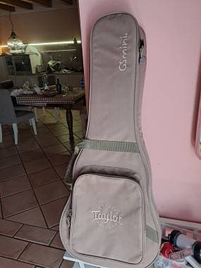 Taylor Bag GS Mini