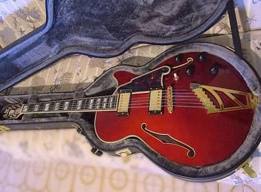 D'Angelico Excel SS Viola