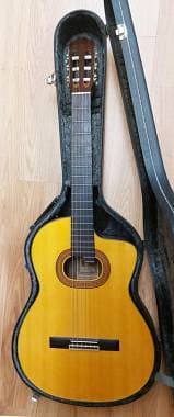 Takamine E30