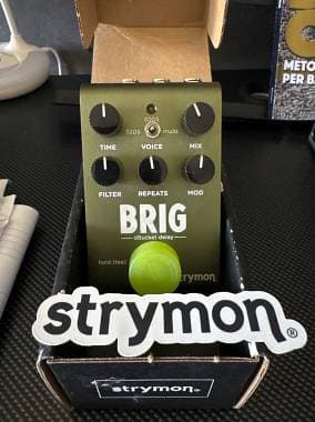 Strymon Brig dBucket delay