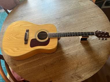 Washburn D11-N