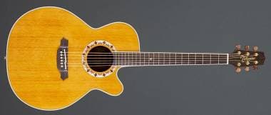 Takamine EF 508 C Santa Fe Limited Edition
