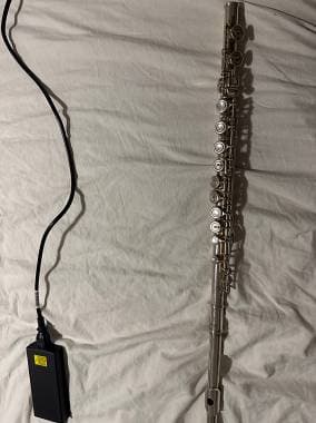 Yamaha YFL222