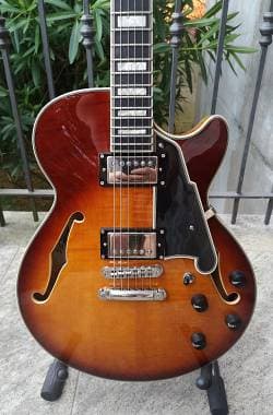 D'Angelico Guitars Premier ss supro Bolton