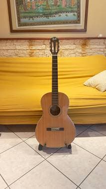 Guild P-240