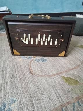 Shruti Box M1