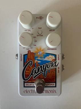 Electro Harmonix Canyon delay/loop
