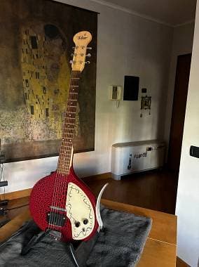 Baby Sitar