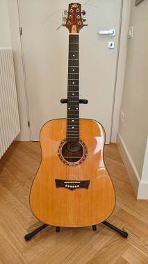 Peavey DW-1 Chitarra Acustica Elettrificata