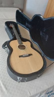 PRS Guitars PRS SE Alex Lifeson Thinline (Acoustic-Electric)