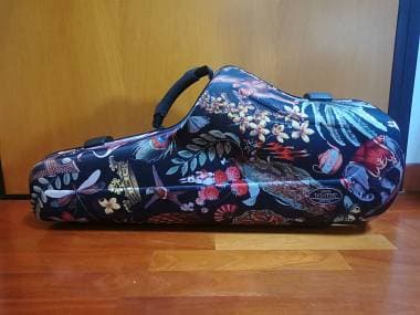 Custodia Sax alto