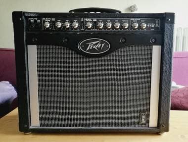 Peavey Envoy 110