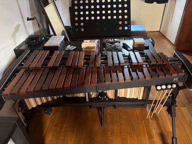 Xilofono Adams Soloist