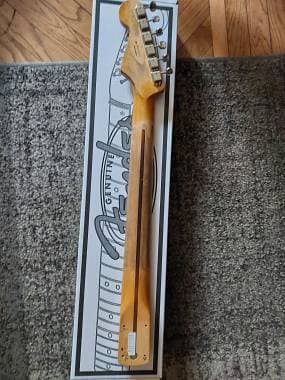 Fender stratocaster manico mexico