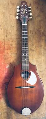 Seagull S8 (Made in Canada by Godin)
