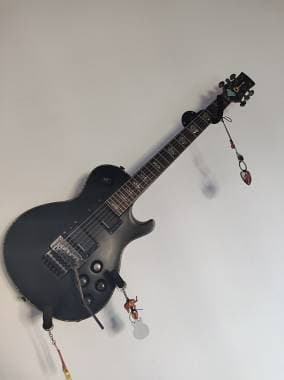 Charvel Desolazione ds1