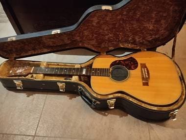 Maton EBG 808 TE