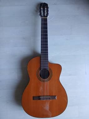 Takamine G series