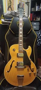 Ibanez Fa-100