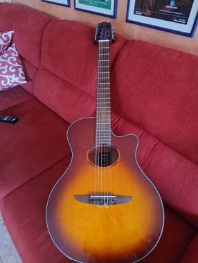 Yamaha ntx1