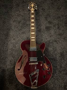 D'Angelico Guitars Premier SS