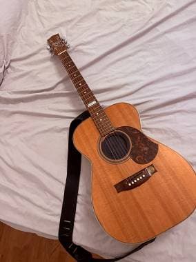 Maton EBG808TE ApMic