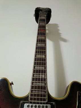 Welson 60's 335