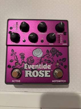 Eventide Rose